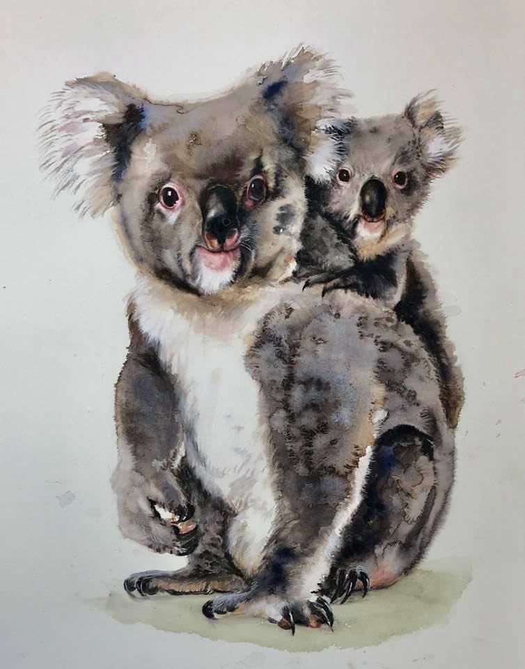 CHerry Hood Koalas.jpg